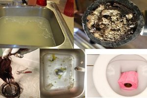 Thông tắc cống tại Cầu Giấy giá tốt – Bảo hành dài hạn