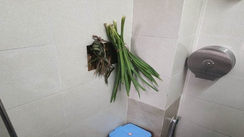 Khử mùi hôi nhà vệ sinh bằng lá dứa