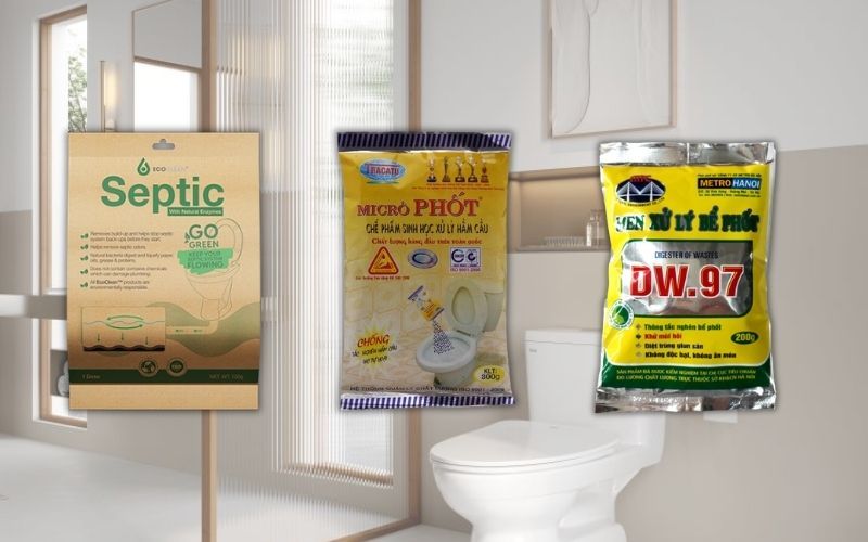 3 loại men vi sinh xử lý hầm cầu phổ biến hiện nay