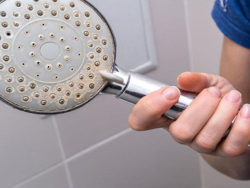 Dấu hiệu cho thấy vòi sen cần được vệ sinh ngay