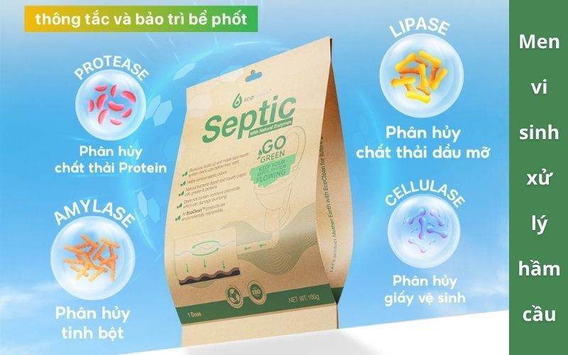Cách thức hoạt động của men vi sinh xử lý hầm cầu