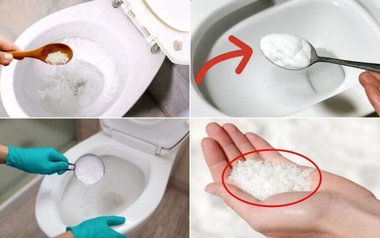 Cơ chế mài mòn và phân rã giấy vệ sinh của muối hạt tại khu vực bẫy chữ P bồn cầu.