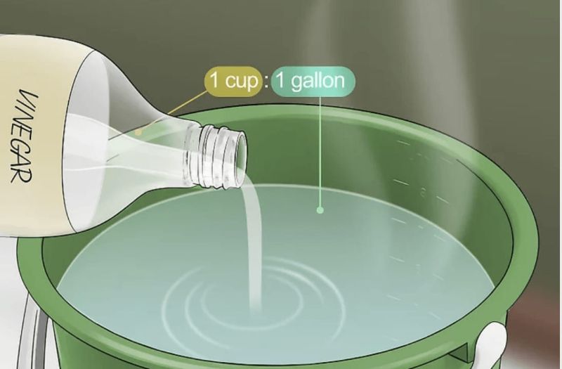 Dùng giấm trắng làm sạch nền nhà vệ sinh