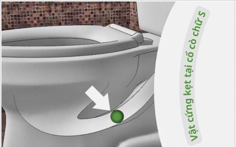 Vị trí vật cứng kẹt tại cổ cò chữ S của bồn cầu