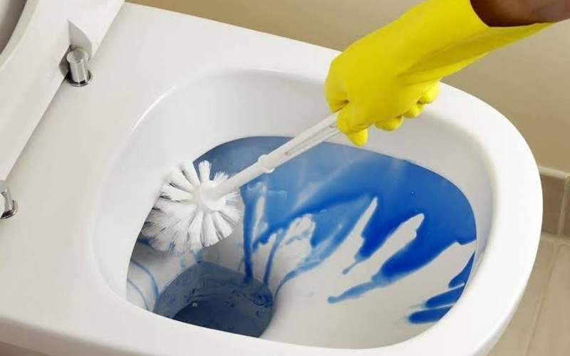Đeo găng tay cao su và dùng chổi cọ chuyên dụng chà rửa bồn cầu đúng cách để tiêu diệt vi khuẩn