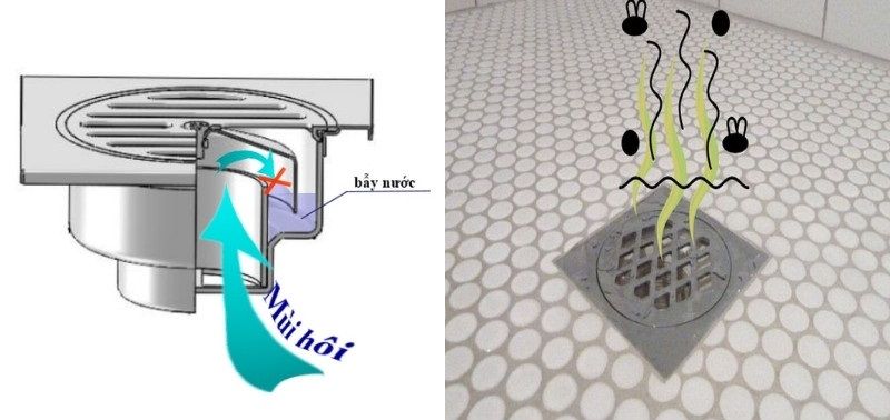 Kiểm tra tình trạng khô bẫy nước con thỏ ở phễu thoát sàn khi nhà tắm liên tục bốc mùi hố ga